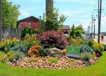 Commercial landscaping from Paccione Landscape Design Services