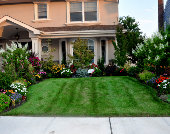 Landscaped lawn and front yard - Landscape Design Services by Paccione landscaping