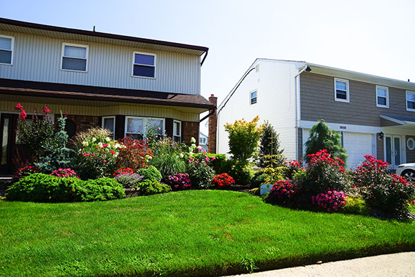 landscape design Long Island - Front yard manicured grass & plants