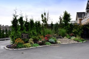 Commercial landscape design from Paccione Landscape Design Services