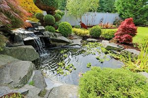 Custom pond & landscaping by Paccione & Sons