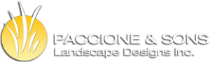 Paccione & Sons Logo