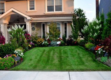 landscape design