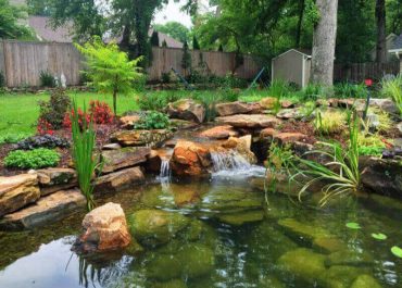 backyard pond built by Paccione Landscaping