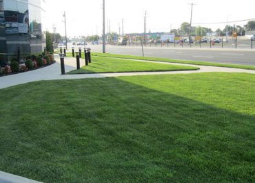 commercial landscape design by Paccione & Sons