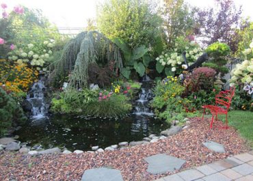 Custom garden waterfall & pond from Paccione Landscape Design Services