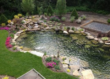 outdoor pond & landscaping