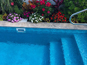 backyard pool landscaping by Paccione & Sons Landscape Designers